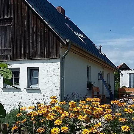 Hotel Zum Storchennest Kemnitz  Exteriér fotografie